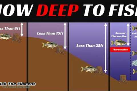 The Most Important Video About Offshore Bass Fishing You Will Ever Watch (Probably…)