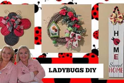 🐞Crafty Ladybug Delights: 3 DIY Projects for Your Home