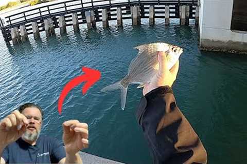 #1 Rig For Beginner Anglers New To Saltwater Fishing