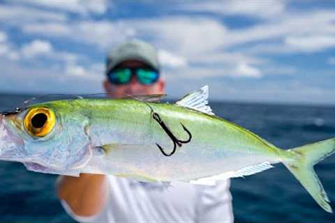 Most EXPENSIVE Deep Sea Bait...Catch Clean Cook (Mahi Mahi)