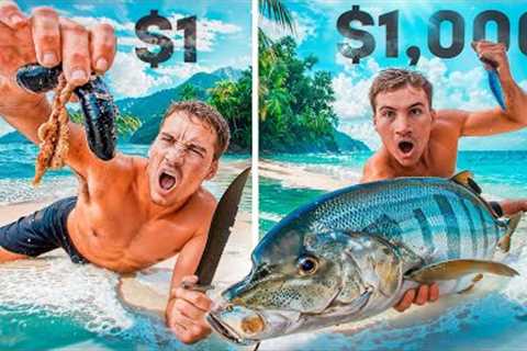 $1 VS $1000 Sea Food Catch and Cook