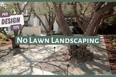 NO GRASS Front Yard Ideas | Xeriscape Landscape Design Tips from a Landscape Designer!