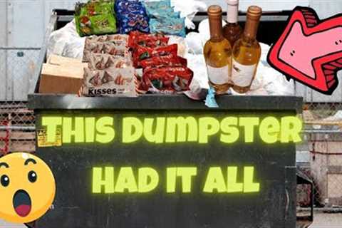 THIS WAS AMAZING!!  I WENT DUMPSTER DIVING AT RETAIL STORES!   FREE HAUL