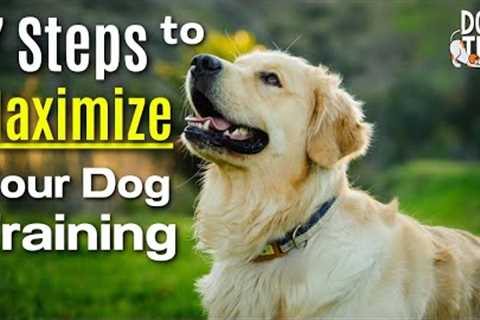 7 Easy Steps To Maximize Your Dog Training Experience