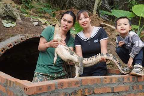 Build shelters for crocodiles, take care of vegetable gardens, farm life, survival alone