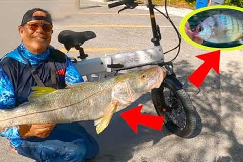 Simple Way To Catch Pinfish And Snook (Beach Fishing With KBO K1 Ebike)