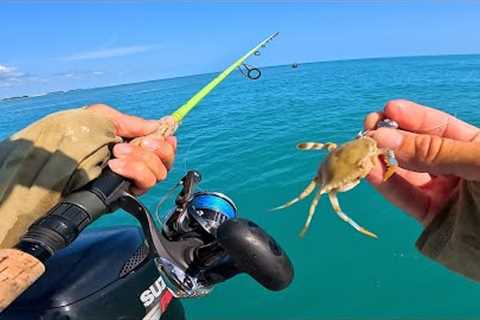 Multi-Species Ocean Fishin Mission | Pompano, Drum, Jacks, Bluefish and More!!!