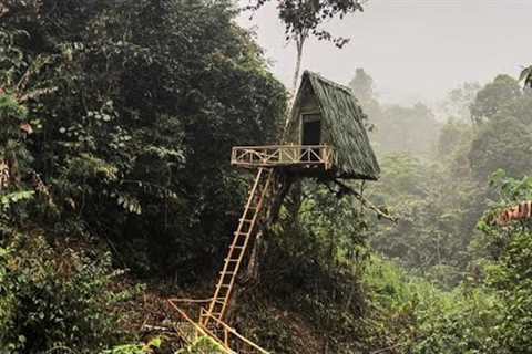 240h Survival - Build a 10m Tree Shelter in the Rainforest with Ancient Skills - Tree House (P1)