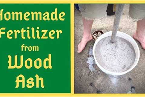 From The Ashes Comes Life Again - Homemade Fertilizer - Potassium / Calcium / Magnesium - Wood Ashes