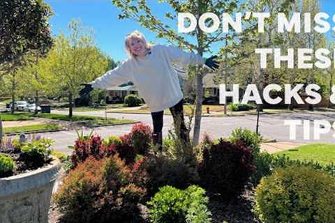 Don't Miss These Garden Design Hacks and Tips