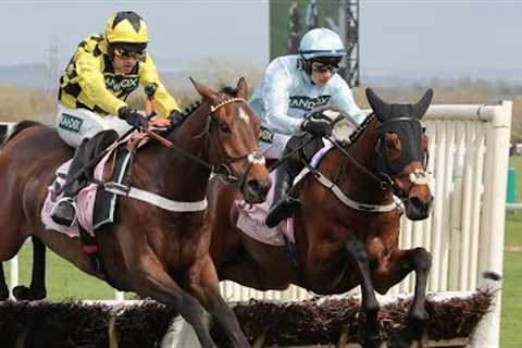 SIR GINO retains unbeaten record with 4-Y-O Hurdle triumph