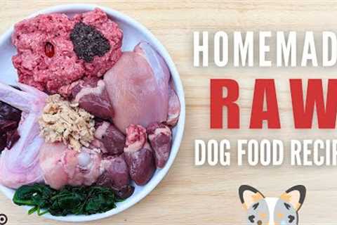Simple Raw Food Recipe For Dogs (Beginner Friendly)