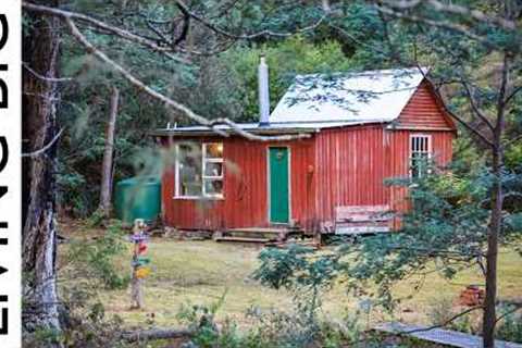 She Turned This Abandoned Hut Into A Dream Woodland Cabin