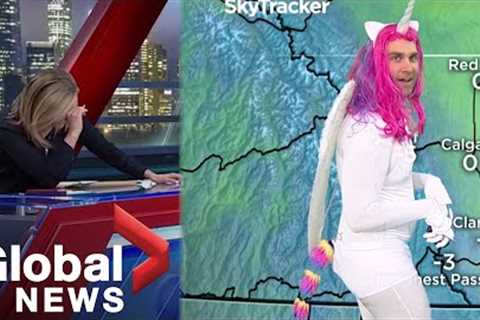 Halloween: News anchors in tears as meteorologist shows up in mystical unicorn costume