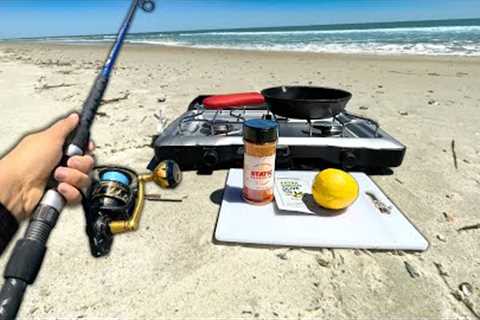 SOLO Beach Fishing.. Eating Whatever I Catch (Catch and Cook)