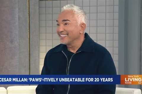Cesar Millan busts dog training myths