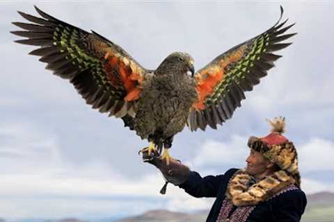 25 Beautiful Exotic Birds You Can Own as Pets