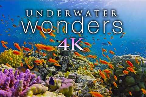 11 HOURS of 4K Underwater Wonders + Relaxing Music - Coral Reefs &amp; Colorful Sea Life in UHD