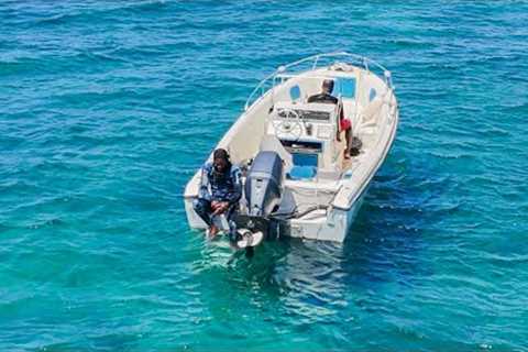 Spearfishing With Friends From A Boat We Caught Nice Fish
