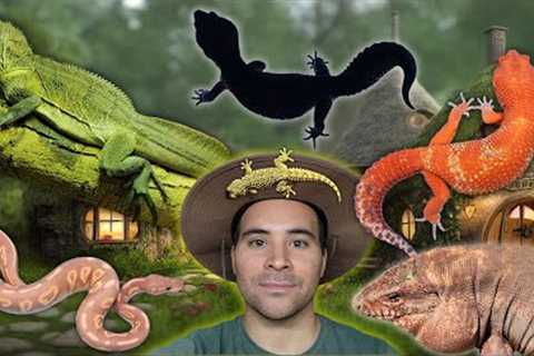 REPTILE house TOUR! | Spring 2024