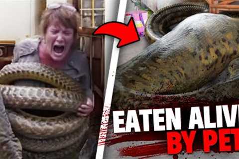 These 3 Pets Ate Their Owners ALVE In Front of EVERYONE!
