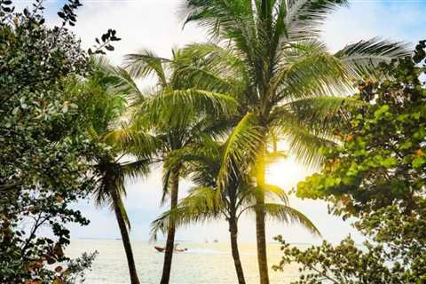 Florida's Crystal Waters - A Journey to the Best Beaches