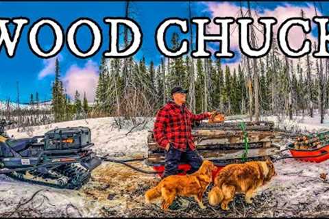HAULING THE LARGEST LOAD OF WOOD IN MY LIFE WITH NEW SKANDIC - CAMPFIRE WITH FUNNY STORY