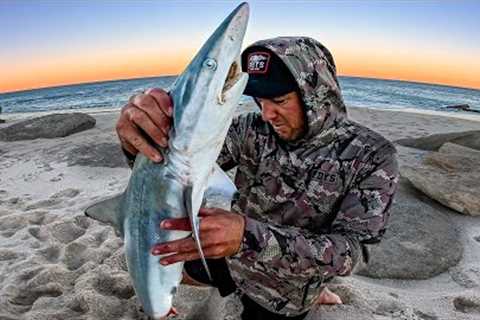 3 Days Solo On a Remote Beach - Cooking What Ever I Catch &amp; More