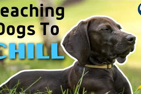 Get Your Dog To Calm Down With This Common Sense Protocol For Relaxation #191 #podcast