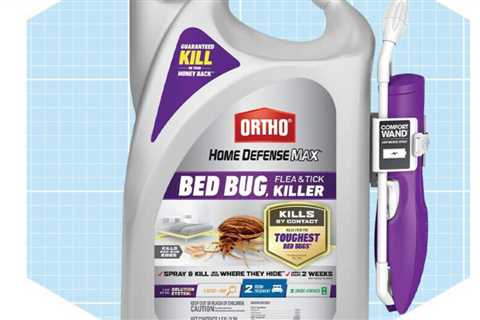 The 7 Best Bed Bug Sprays to Get Rid of Bed Bugs Fast