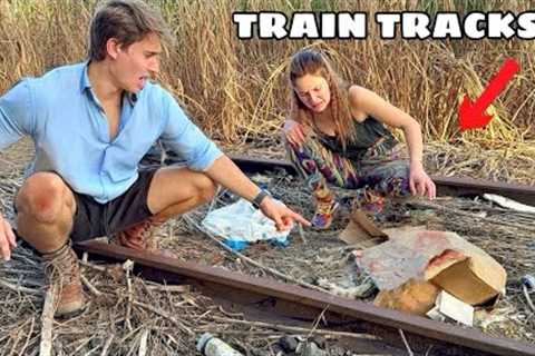 WE FOUND ANIMALS DUMPED on the TRAIN-TRACKS !
