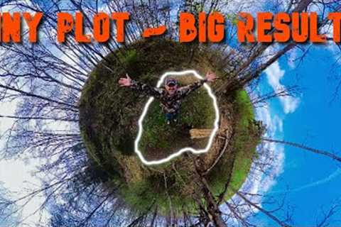 Micro Plot Serves Big Purpose!  Spring Re-Seeding, Mock Scrape, Hemp Rope Repairs, Trail Cam Trap