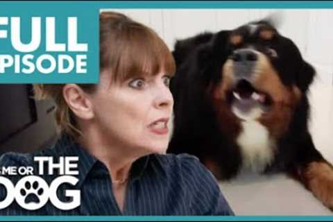 All Hell Breaks Lose when Dogs start BARKING😱 | Full Episode | It's Me or the Dog