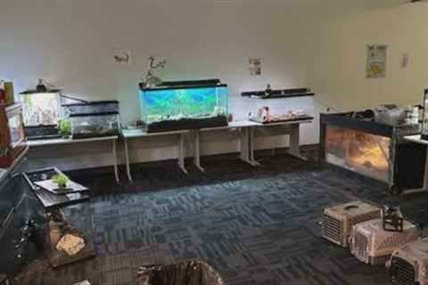 Exotic animals saved from pet rescue in Rochester
