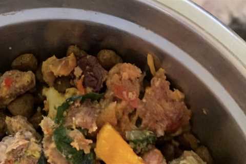 Healthy homemade dog food recipe