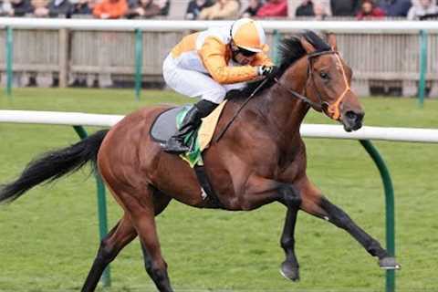 JAYAREBE looks exciting prospect for Meehan following Feilden stakes win
