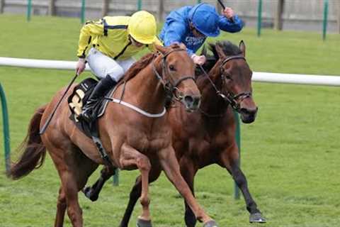 PRETTY CRYSTAL causes Nell Gwyn upset for Fahey &amp; Orr