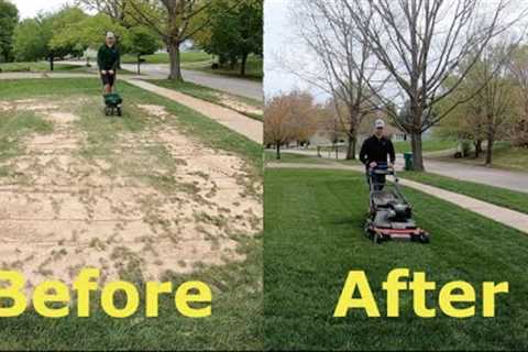 Step by Step Guide to OVERSEEDING (Better looking lawn FAST)
