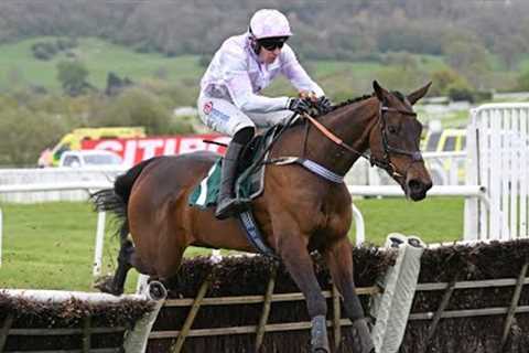 GOLDEN ACE could be Champion Hurdle horse next season