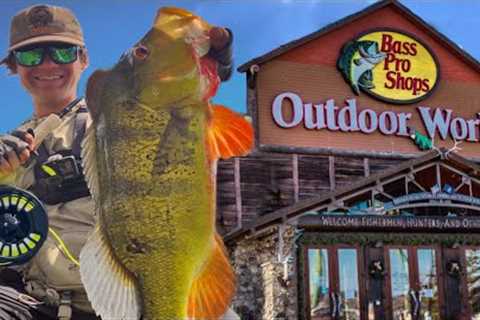 Buying my first FLY FISHING combo (under $100)