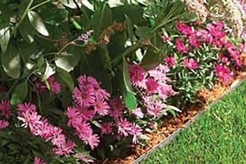Three Simple Landscape Edging Ideas