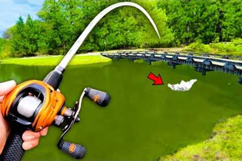 Fishing for Pond MONSTERS in Hidden Waters! (Bed Fishing)
