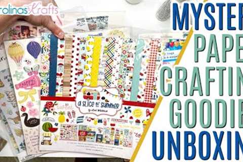 Mystery Paper Crafting Goodies Unboxing, Mystery Box Destash from @lyriclovercrafts