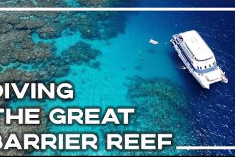 Cairns Barrier Reef Dive Trip - Sharks, Turtles &amp; NEMO! 🐠 (Hero 9 Scuba Diving) | Stoked For..