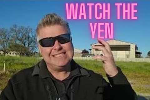 Yen Falls Threats Made Against Traders (Beware Dollar)
