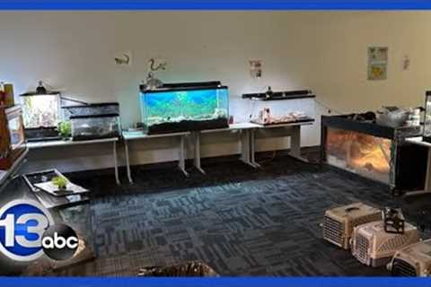 22 exotic animals found abandoned after tenant was evicted