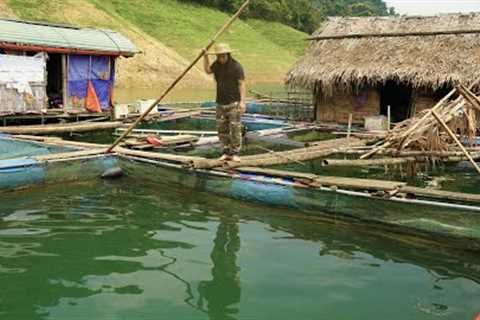 Making Fish Cages, Fishing and Selling to Traders, River Survival | EP.346