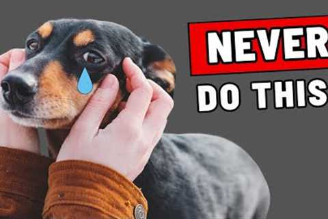 9 Things a Dog Will NEVER Forgive