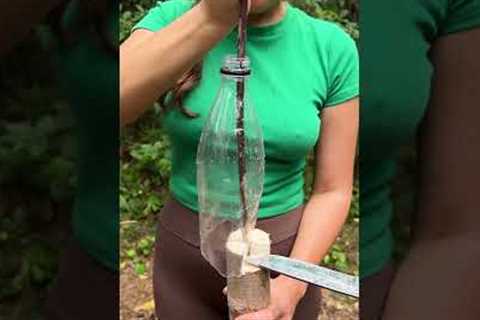 NEW invention from the FOREST GIRL #camping #survival #bushcraft #outdoors #marusya #shiklina