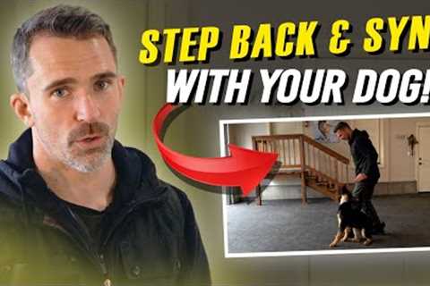 Easily Teach Your Dog The Backwards Slide in Heel Position!